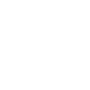Mini Excavator