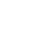 Skid-Steer Loader